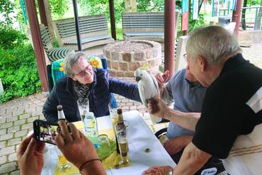 Auf diesem Bild ist eine ältere Dame z usehen welche einen Kakadu streichelt.